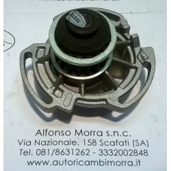 Pompa acqua Volkswagen...