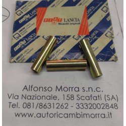 Distanziale collettore...