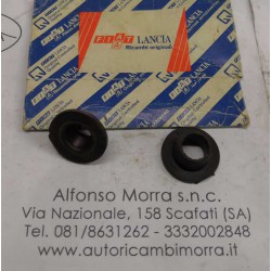 Gommino radiatore Fiat...