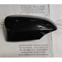 Calotta specchio sinistra...