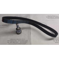 Cinghia distribuzione Ford...