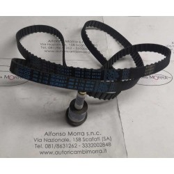 Cinghia distribuzione Alfa...