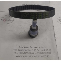 Cinghia distribuzione Fiat...