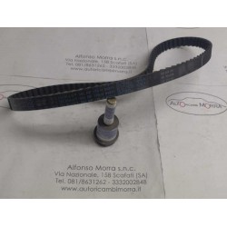 Cinghia distribuzione...