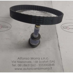 Cinghia distribuzione Fiat...