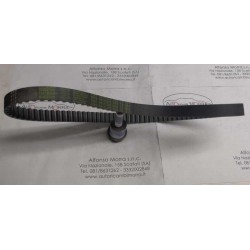 Cinghia distribuzione...