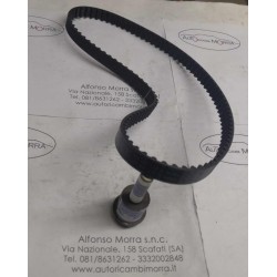 Cinghia distribuzione...