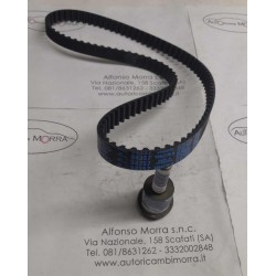Cinghia distribuzione...