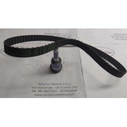 Cinghia distribuzione...