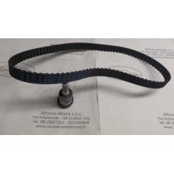 Cinghia distribuzione Fiat...