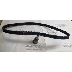 Cinghia distribuzione Ford...