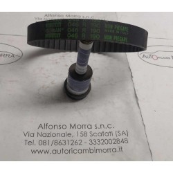 Cinghia distribuzione Seat...
