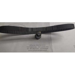 Cinghia distribuzione...