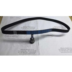 Cinghia distribuzione...