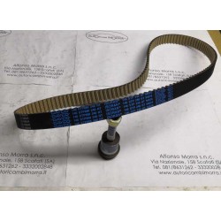 Cinghia distribuzione Alfa...