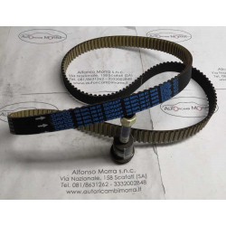 Cinghia distribuzione Alfa...