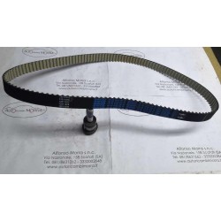 Cinghia distribuzione...