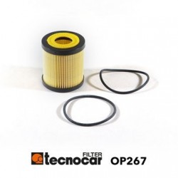 Plastica fanalino anteriore...