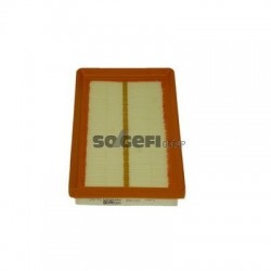 Termostato Fiat 1100 D-R -...